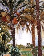 Joaquin Sorolla, Palm